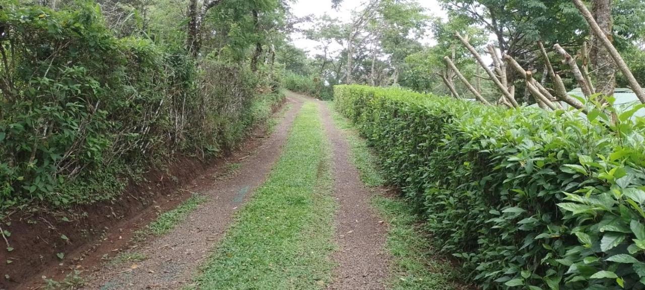 Pochote Lodge Guayabo  Luaran gambar