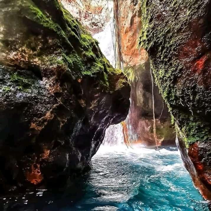 Pochote Lodge Guayabo  Luaran gambar