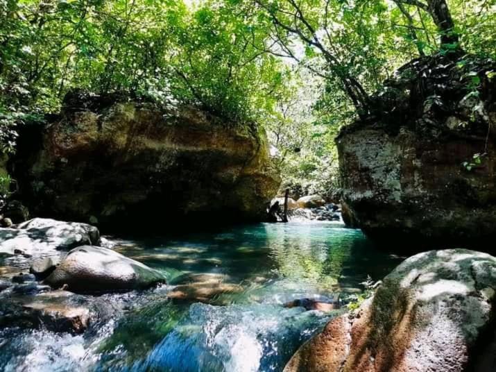 Pochote Lodge Guayabo  Luaran gambar