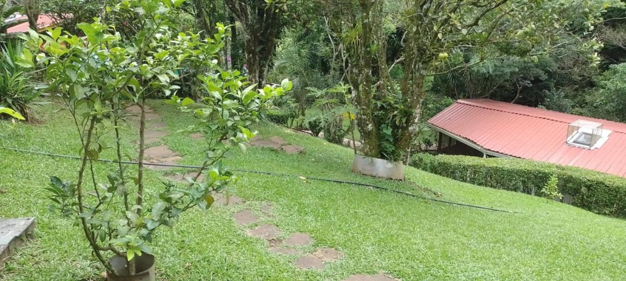 Pochote Lodge Guayabo  Luaran gambar