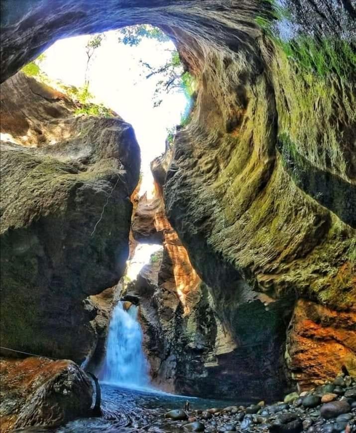 Pochote Lodge Guayabo  Luaran gambar