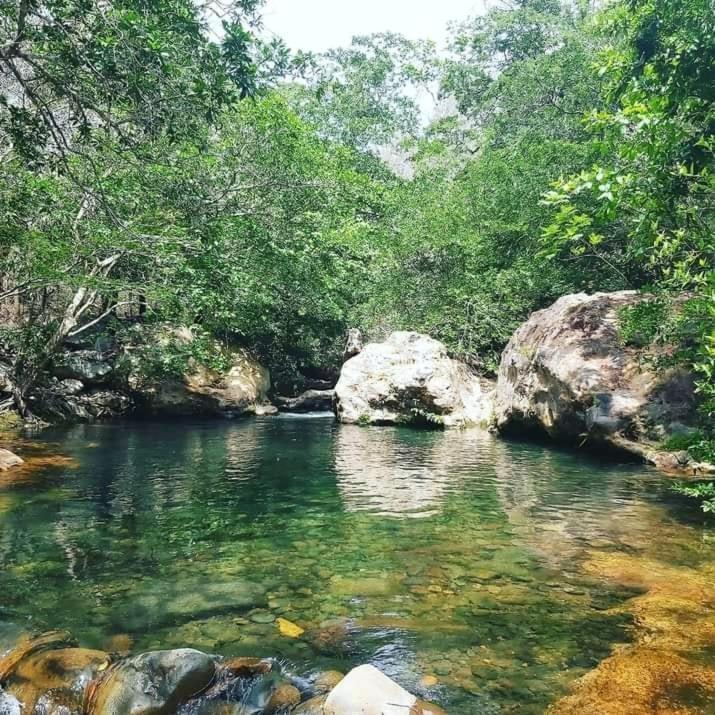 Pochote Lodge Guayabo  Luaran gambar